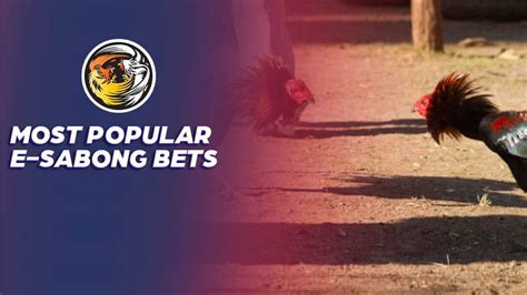 Sabong Betting History And Its Popularity In The Philippines.